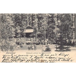 Rare collectable postcards of Czech Republic. Vintage Postcards of Czech Republic