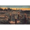 Rare collectable postcards of Greece. Vintage Postcards of Greece