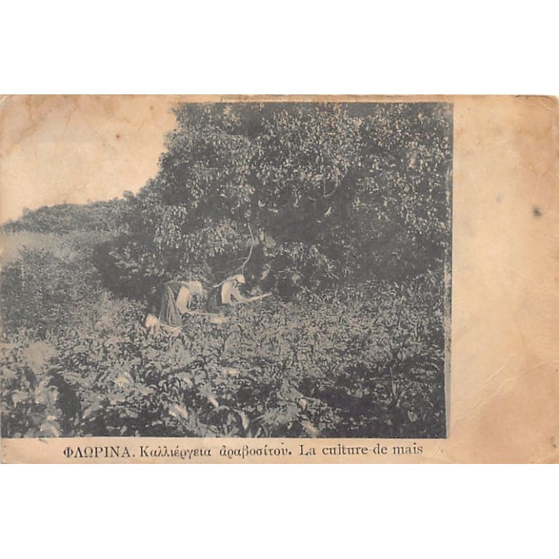 Rare collectable postcards of Greece. Vintage Postcards of Greece