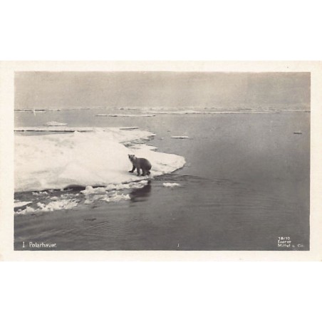 Rare collectable postcards of Norway. Vintage Postcards of Norway