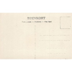 Rare collectable postcards of Norway. Vintage Postcards of Norway