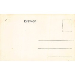 Rare collectable postcards of Norway. Vintage Postcards of Norway