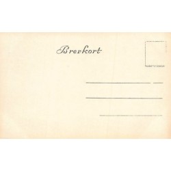 Rare collectable postcards of Norway. Vintage Postcards of Norway