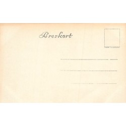 Rare collectable postcards of Norway. Vintage Postcards of Norway