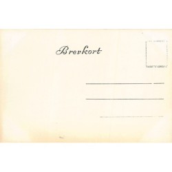 Rare collectable postcards of Norway. Vintage Postcards of Norway