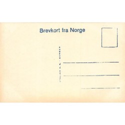 Rare collectable postcards of Norway. Vintage Postcards of Norway