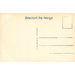 Rare collectable postcards of Norway. Vintage Postcards of Norway