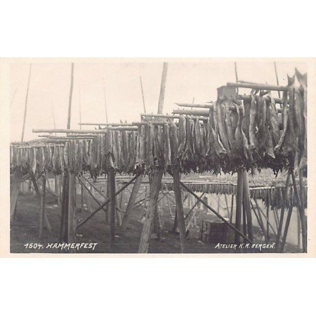 Rare collectable postcards of Norway. Vintage Postcards of Norway