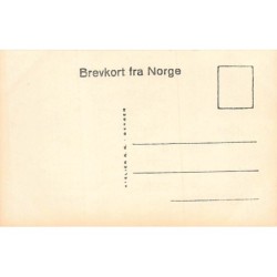 Rare collectable postcards of Norway. Vintage Postcards of Norway
