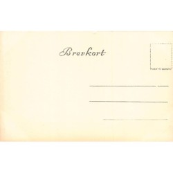 Rare collectable postcards of Norway. Vintage Postcards of Norway