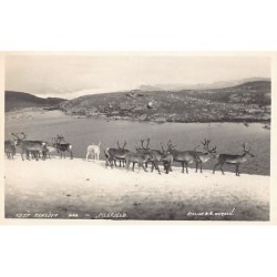 Rare collectable postcards of Norway. Vintage Postcards of Norway