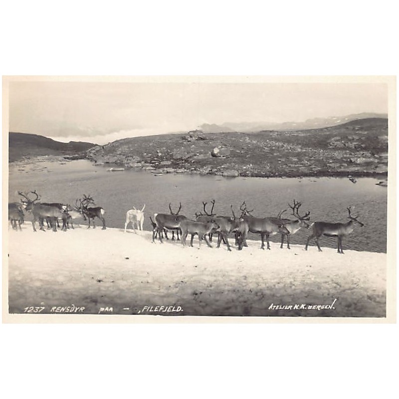 Rare collectable postcards of Norway. Vintage Postcards of Norway