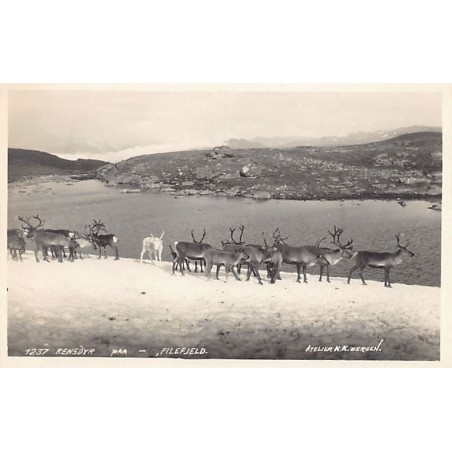 Rare collectable postcards of Norway. Vintage Postcards of Norway
