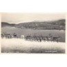 Rare collectable postcards of Norway. Vintage Postcards of Norway