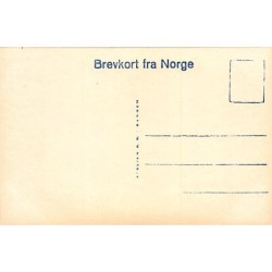 Rare collectable postcards of Norway. Vintage Postcards of Norway