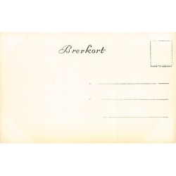 Rare collectable postcards of Norway. Vintage Postcards of Norway