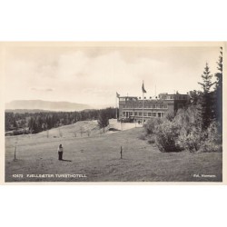 Rare collectable postcards of Norway. Vintage Postcards of Norway