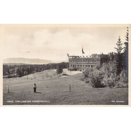 Rare collectable postcards of Norway. Vintage Postcards of Norway