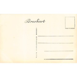 Rare collectable postcards of Norway. Vintage Postcards of Norway