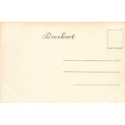 Rare collectable postcards of Norway. Vintage Postcards of Norway