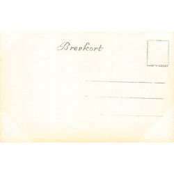 Rare collectable postcards of Norway. Vintage Postcards of Norway