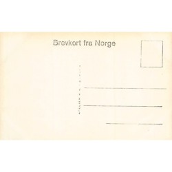 Rare collectable postcards of Norway. Vintage Postcards of Norway