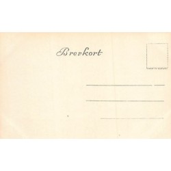 Rare collectable postcards of Norway. Vintage Postcards of Norway