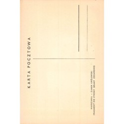 Rare collectable postcards of Poland. Vintage Postcards of Poland