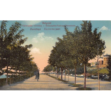 Rare collectable postcards of Serbia. Vintage Postcards of Serbia