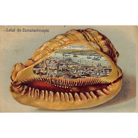 Rare collectable postcards of Turkey. Vintage Postcards of Turkey