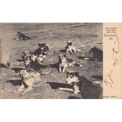 Rare collectable postcards of Turkey. Vintage Postcards of Turkey
