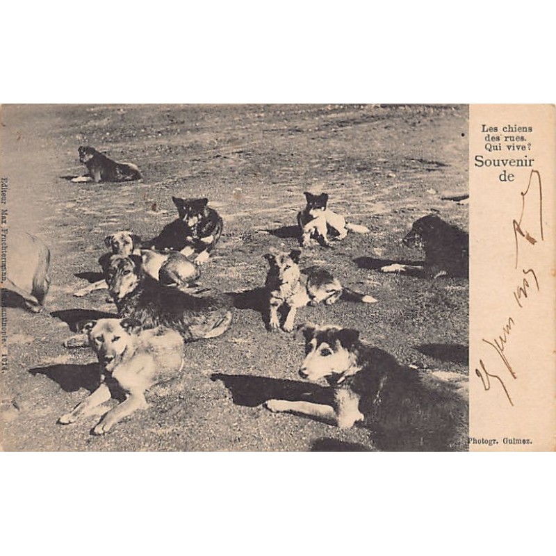 Rare collectable postcards of Turkey. Vintage Postcards of Turkey