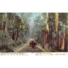 Rare collectable postcards of Australia. Vintage Postcards of Australia