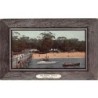 Rare collectable postcards of Australia. Vintage Postcards of Australia