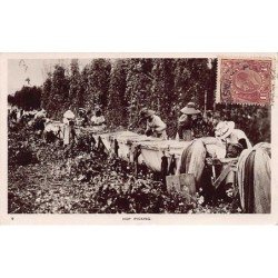 Rare collectable postcards of Australia. Vintage Postcards of Australia