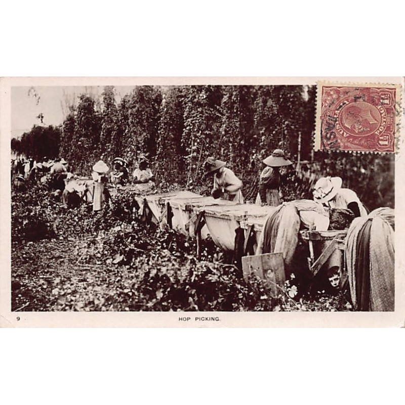 Rare collectable postcards of Australia. Vintage Postcards of Australia