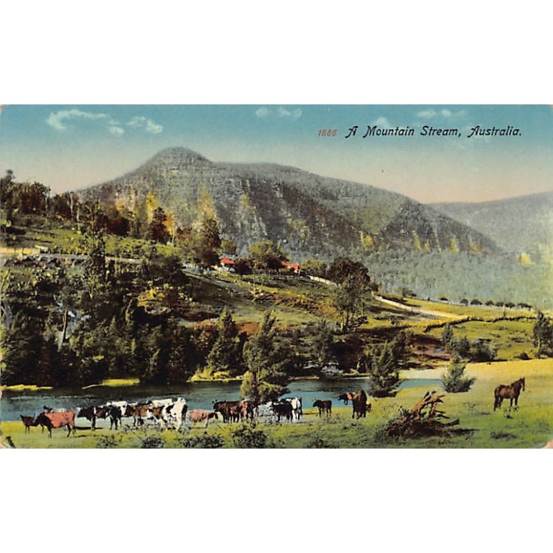 Rare collectable postcards of Australia. Vintage Postcards of Australia