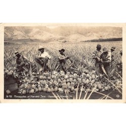 Rare collectable postcards of Hawaii. Vintage Postcards of Hawaii