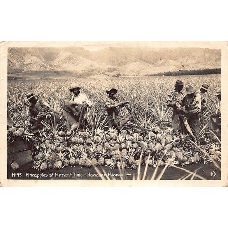 Rare collectable postcards of Hawaii. Vintage Postcards of Hawaii