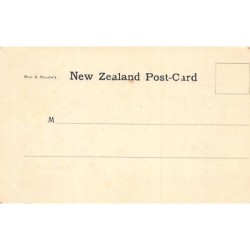 Rare collectable postcards of New Zealand. Vintage Postcards of New Zealand