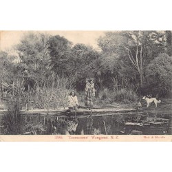 Rare collectable postcards of New Zealand. Vintage Postcards of New Zealand