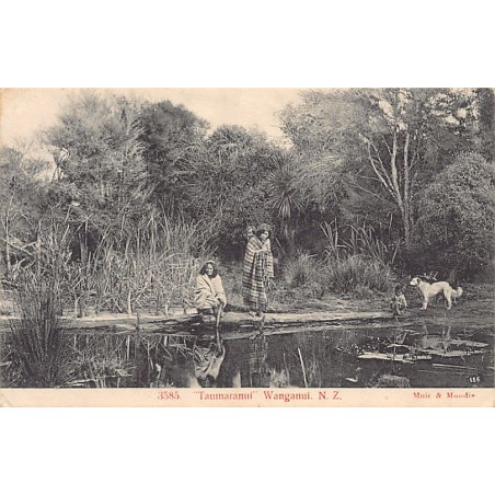 Rare collectable postcards of New Zealand. Vintage Postcards of New Zealand
