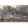 Rare collectable postcards of New Zealand. Vintage Postcards of New Zealand