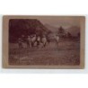 Rare collectable postcards of Dominica. Vintage Postcards of Dominica