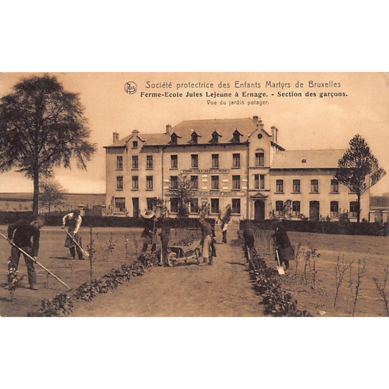 Rare collectable postcards of Belgium. Vintage Postcards of Belgium