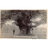 Rare collectable postcards of United Kingdom - England. Vintage Postcards of United Kingdom - England