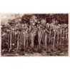 Rare collectable postcards of United Kingdom - Jersey. Vintage Postcards of United Kingdom - Jersey