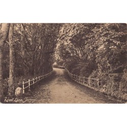 Rare collectable postcards of United Kingdom - Jersey. Vintage Postcards of United Kingdom - Jersey
