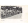 Rare collectable postcards of United Kingdom - Jersey. Vintage Postcards of United Kingdom - Jersey