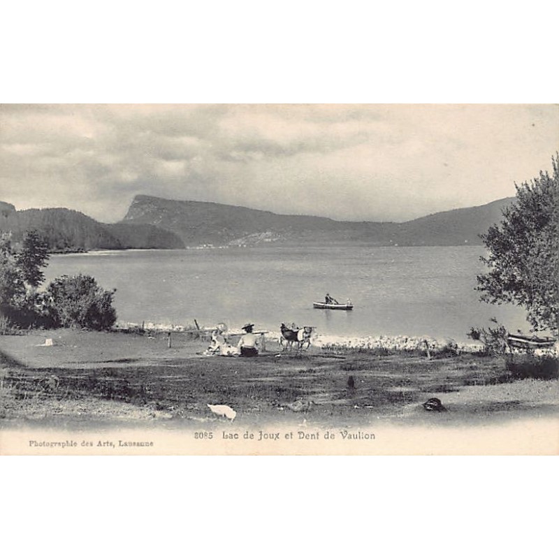 Rare collectable postcards of Switzerland. Vintage Postcards of Switzerland